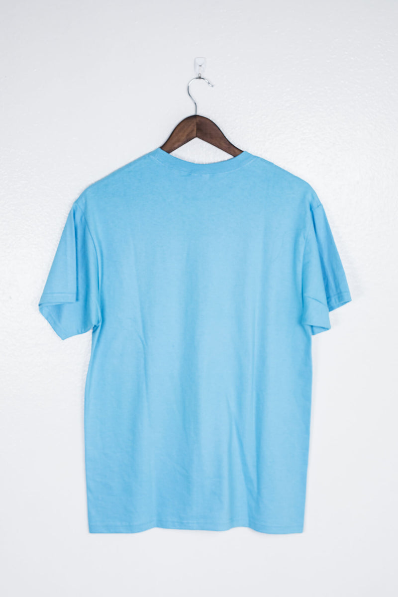port-and-company-mt.-shashta-california-baby-blue-t-shirt-back