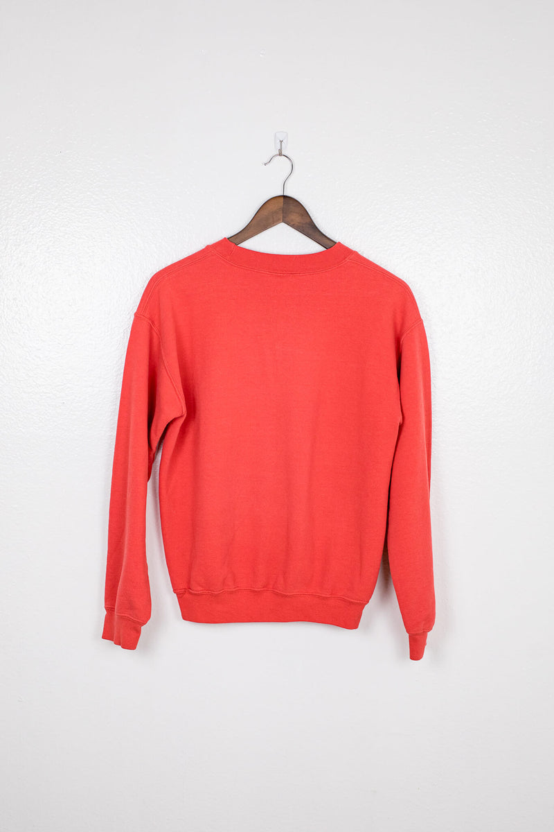vintage-90s-handprints-red-lake-michigan-pullover-sweatshirt-back